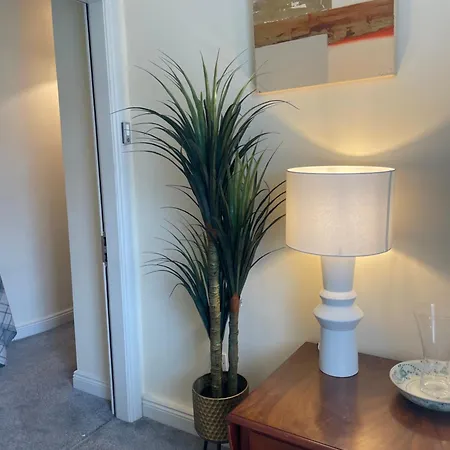 - Town Centre Apartment *