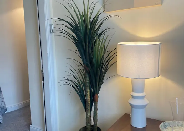 - Town Centre Apartment *